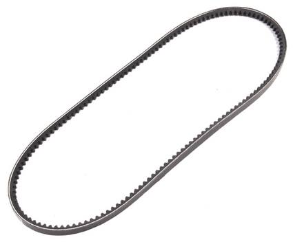 Accessory Drive Belt (10x925) (Alternator)